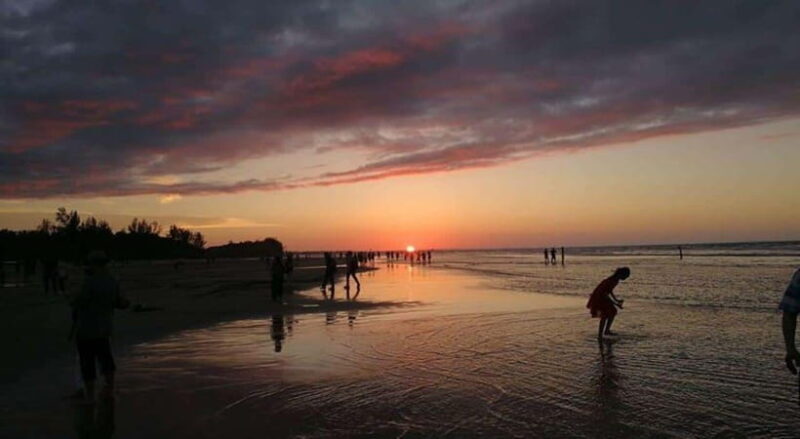 Bongawan Wetland: Proboscis Monkey and Fireflies Shared Tour - The Sum Up