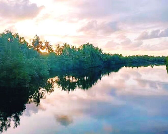 Bongawan Wetland: Proboscis Monkey Fireflies Shared Tour - Location and ID