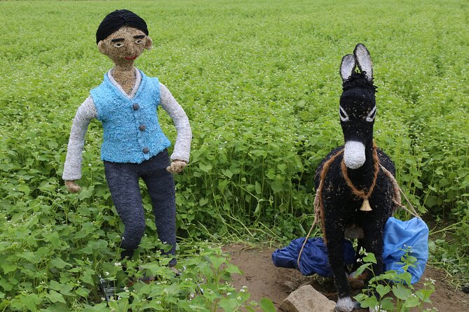 Bongpyeong Buckwheat Flower FestivalPyeongchang Zinnia Festival - Accommodation Options