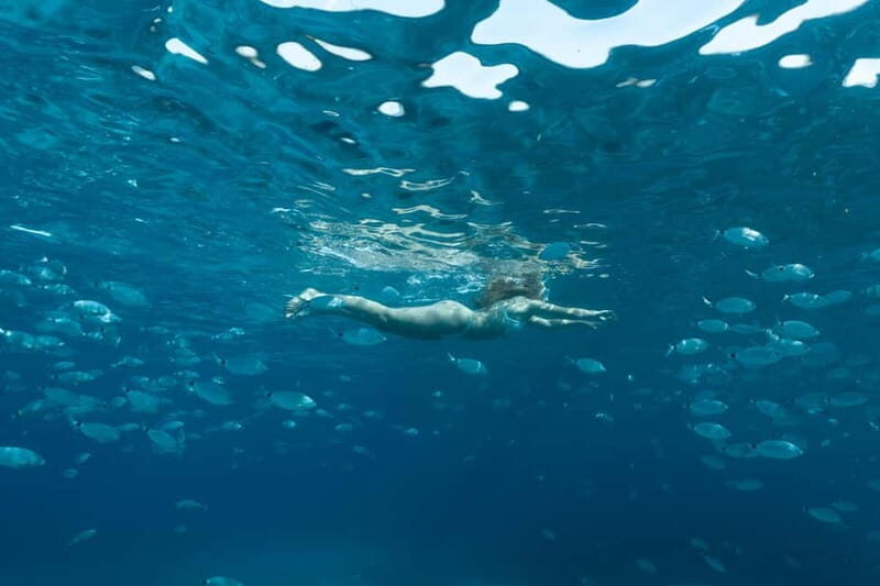 Bonifacio: Catamaran trip with snorkeling at the Lavezzi Islands - Final Thoughts