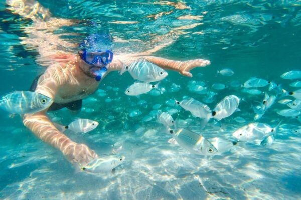 Bonifacio: Guided Boat Tour and Snorkeling - Additional Activities Nearby