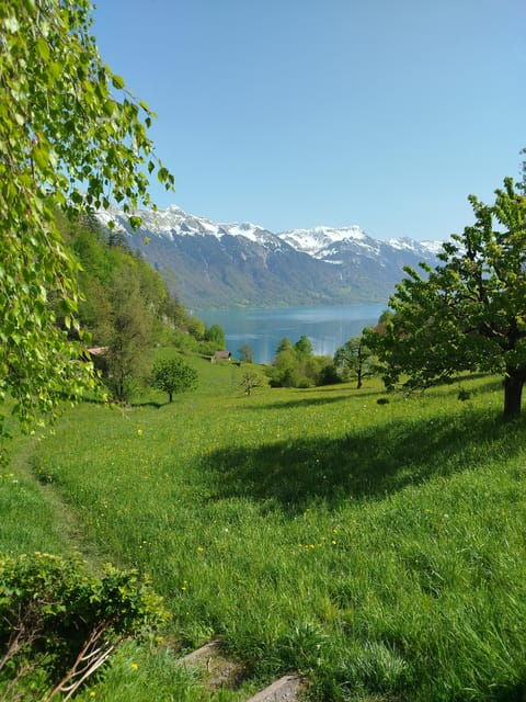 Bönigen: Lakeside Trail and Giessbach Waterfalls Hike - Hiking Experience Highlights
