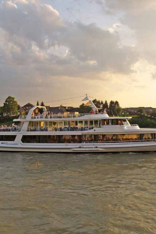 Bonn: 1.5-Hour River Cruise on the Rhine - Final Thoughts