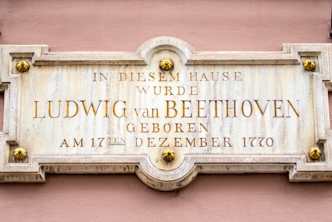 Bonn Scavenger Hunt and Sights Self-Guided Tour - Important Information for Participants