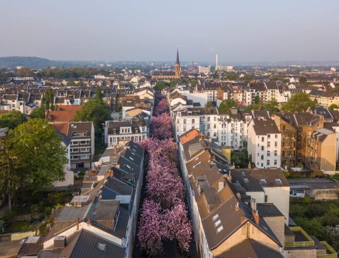 Bonn: Walking Tour With Audio Guide on App - What to Bring and Requirements