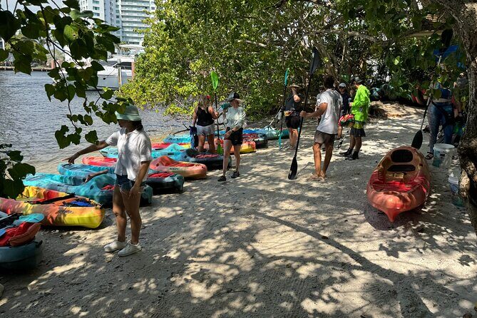 Bonnet House 2 Hour Rental (Paddleboard or Kayak) - Good To Know