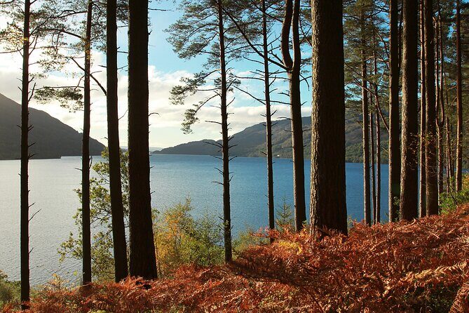 Bonnie Lochs & Bold Whisky Small Group Tour from Edinburgh - A Detailed Look at the Tour Experience