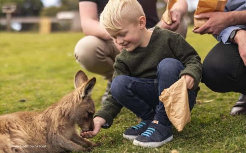 Bonorong & Richmond: Shore Excursion (Private Tour) - What Makes This Tour Stand Out?