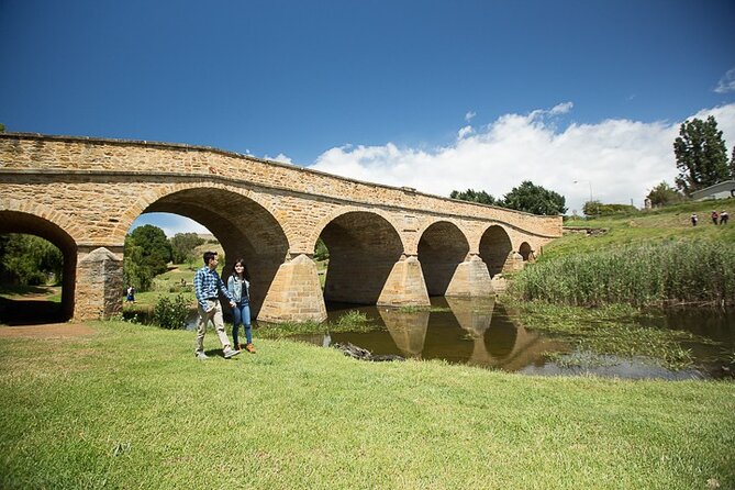 Bonorong Wildlife Park and Richmond Afternoon Tour From Hobart - Bonorong Wildlife Park Experience
