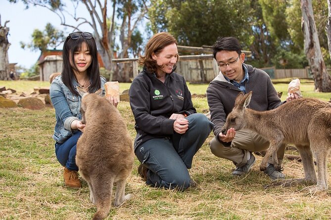 Bonorong Wildlife Park and Richmond Afternoon Tour From Hobart - Common Questions