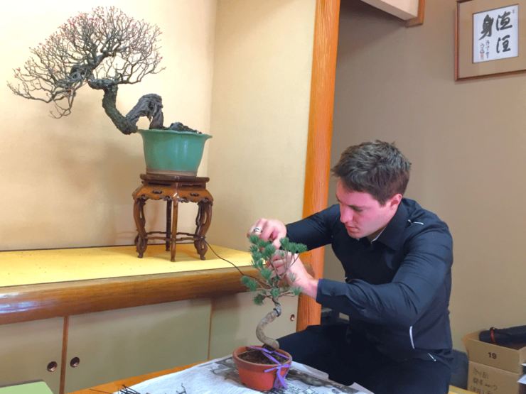 Bonsai City: Bonsai Tour & Experience at Bonsai Sanctuary - Good To Know