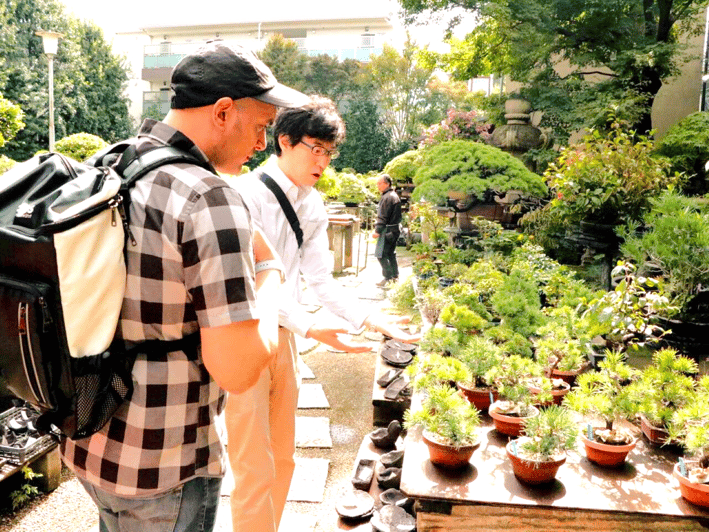 Bonsai City: Bonsai Tour & Experience at Bonsai Sanctuary - Historical Significance of Bonsai Town