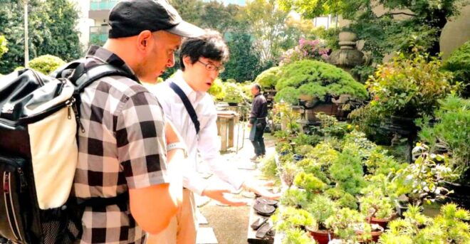 Bonsai City: Bonsai Tour & Experience at Bonsai Sanctuary - Highlights of the Bonsai Experience