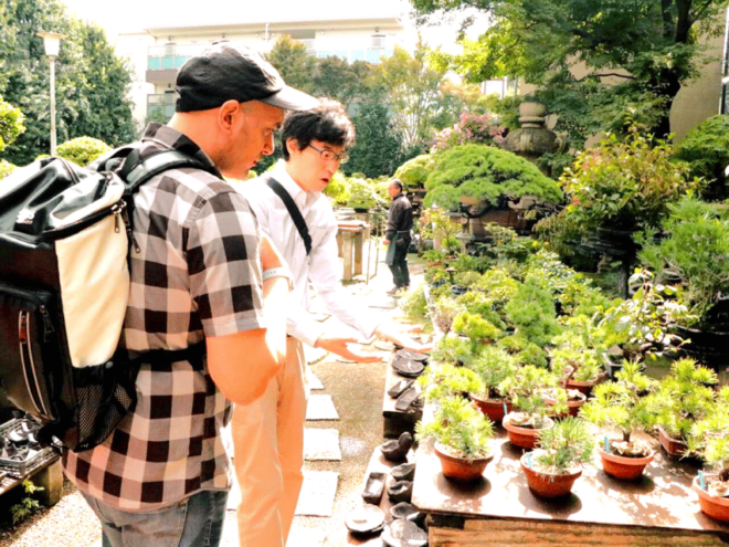 Bonsai City: Bonsai Tour & Experience at Bonsai Sanctuary - Whats Included in Your Tour