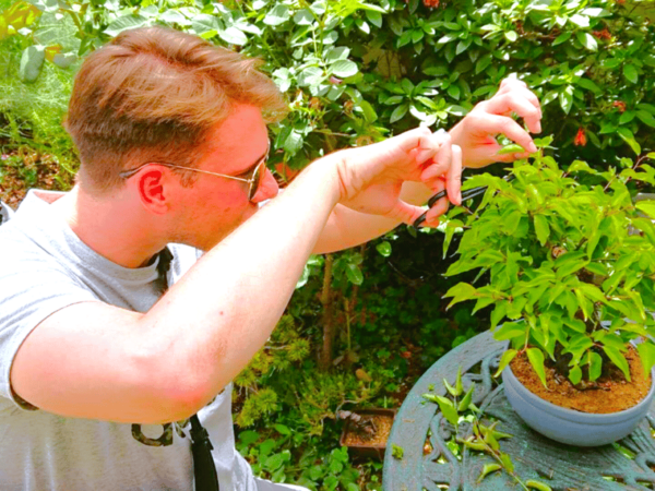 Bonsai City: Bonsai Tour & Experience at Bonsai Sanctuary - Directions to Bonsai Sanctuary