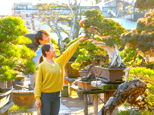 Bonsai City: Bonsai Tour & Experience at Bonsai Sanctuary - Tips for a Memorable Visit