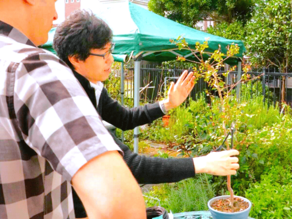 Bonsai City: Bonsai Tour & Experience at Bonsai Sanctuary - Frequently Asked Questions