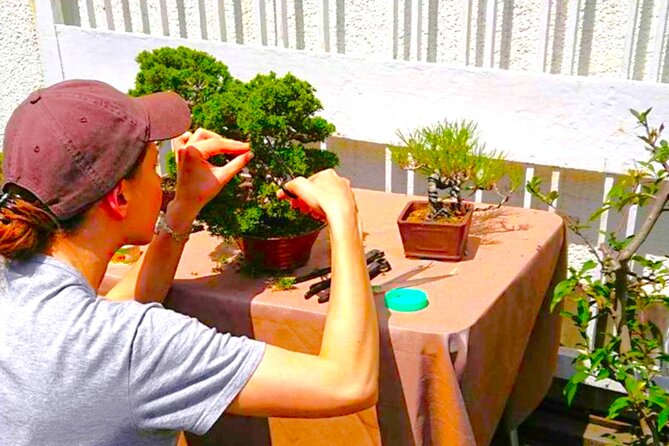 Bonsai Experience at the Most Sacred City for Bonsai in Japan - Good To Know