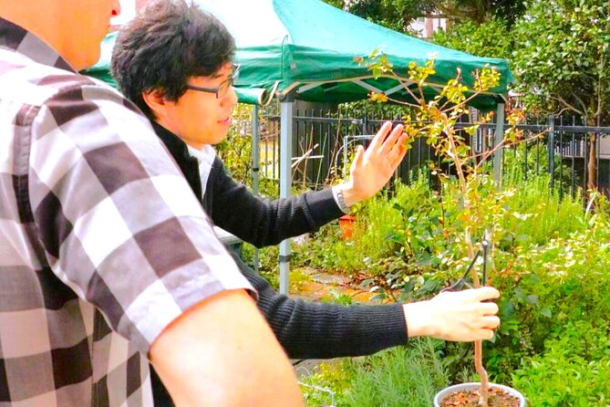 Bonsai Experience at the Most Sacred City for Bonsai in Japan - Instructor-Guided Bonsai Workshop