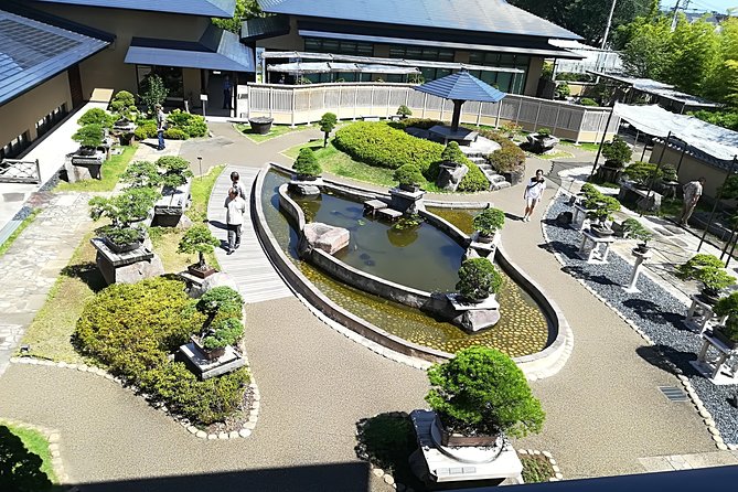 Bonsai Museum & Bonsai Experience - Museum Highlights