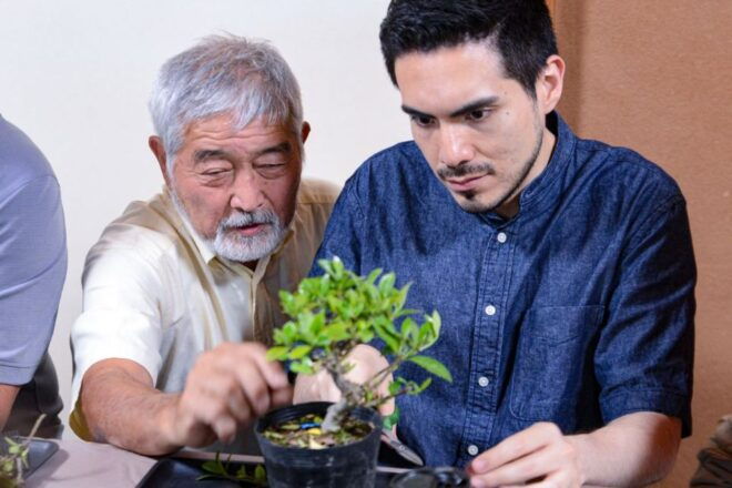 Bonsai & Sencha Tea Experience: Pastime of the Literati - Influence of Baisaryu Sencha Tea School