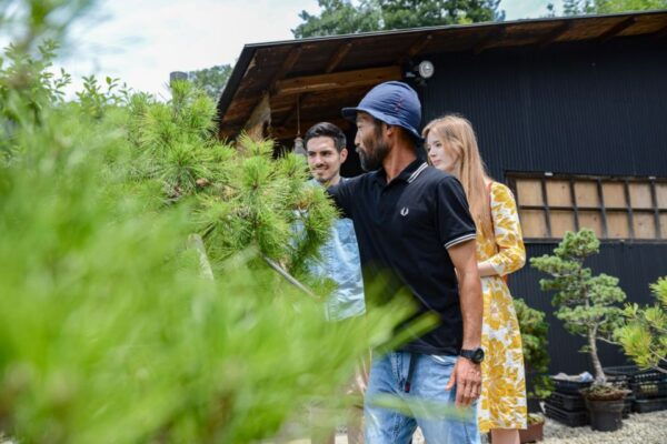 Bonsai & Sencha Tea Experience: Pastime of the Literati - Exploring Enchanting Bonsai Gardens