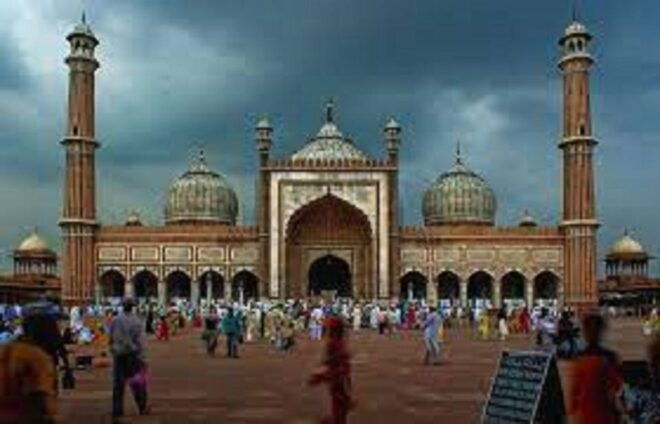 Book Tour of Delhi By Official Tour Guide. - Experience Highlights and Inclusions