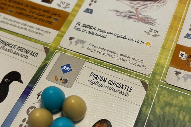 Book Your Board Games Table in Barcelona - Pricing and Packages