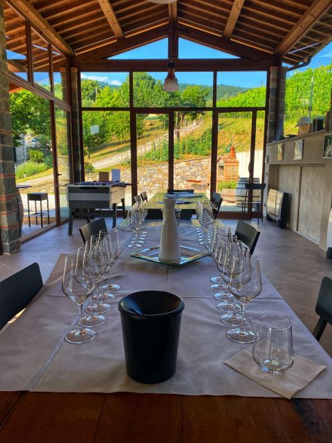 BOOK YOUR PRIVATE WINE OR BEER AMAZING EXPERIENCE IN LUCCA - The Sum Up