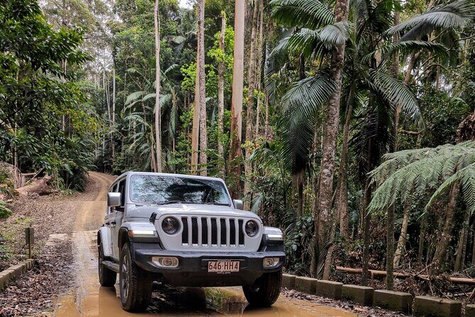 Booloumba Falls & Booloumba Creek Adventure, Conondale Nat. Park - Exploring Booloumba Falls & Booloumba Creek with Sunny Jeeps: An Honest Review