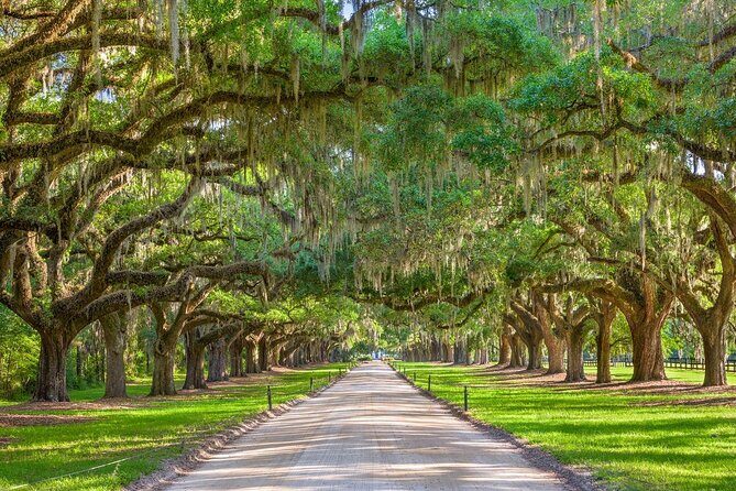 Boone Hall Plantation Day Tour with Transportation - The Sum Up