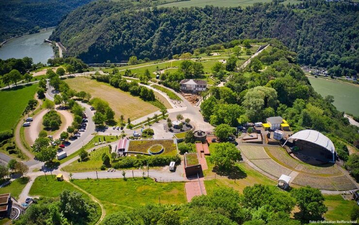Boppard: Rhine Boat Trip With Loreley Plateau Activities - Key Points
