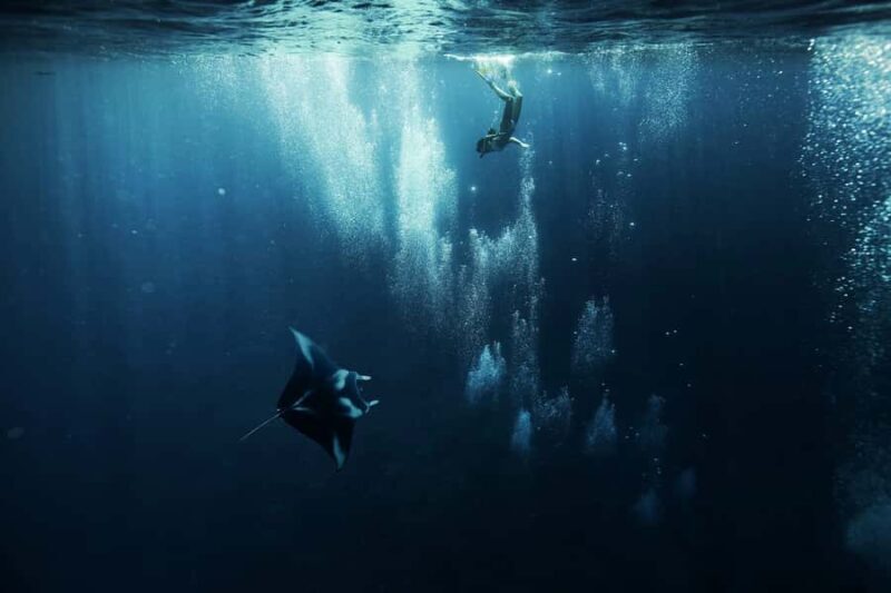 Bora Bora: 3.5-Hour Lagoon Boat Tour with Snorkeling - What Makes This Tour Special?