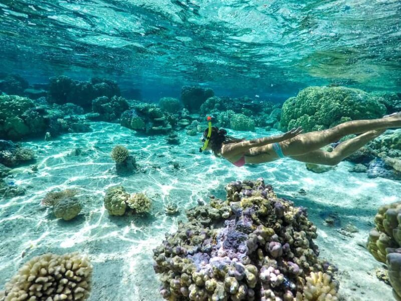 Bora Bora: 3.5-Hour Lagoon Boat Tour with Snorkeling - Why You’ll Love This Tour