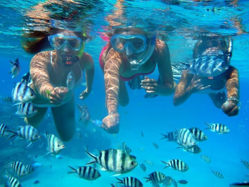 Bora Bora: 3.5-Hour Lagoon Boat Tour with Snorkeling - The Sum Up