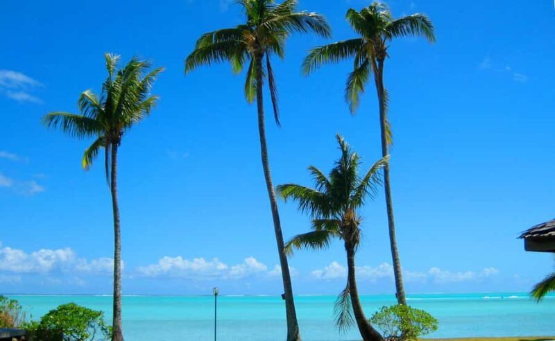 Bora Bora: 4x4 Safari with Snorkelling Combo Tour - Final Thoughts: Is This Tour Right for You?