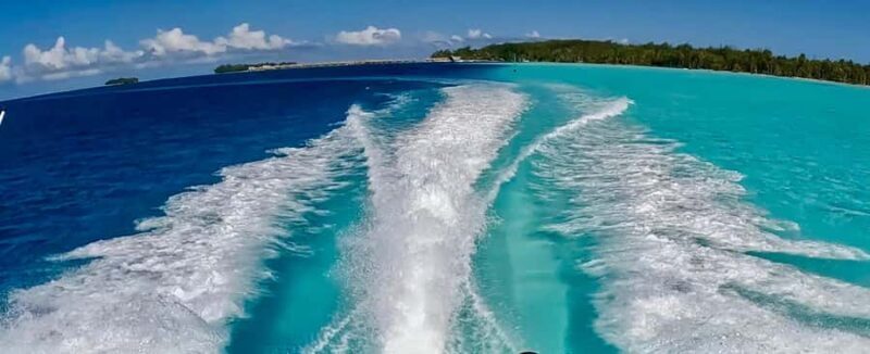 Bora Bora: Blue Lagoon Cruise, Snorkeling and Lunch . - The Motu Lunch Experience