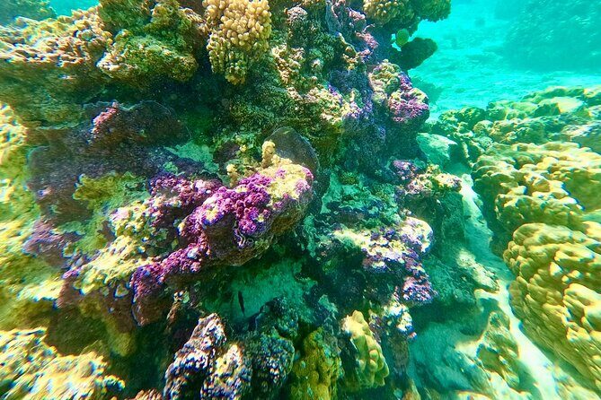 Bora Bora crazy sea and land Adventure - Who Will Love This Tour?