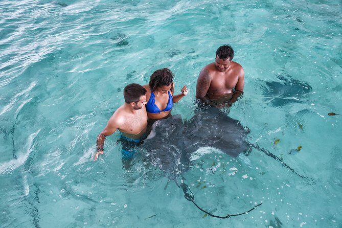 Bora Bora Eco Snorkel Cruise Including Snorkeling with Sharks and Stingrays - Good To Know