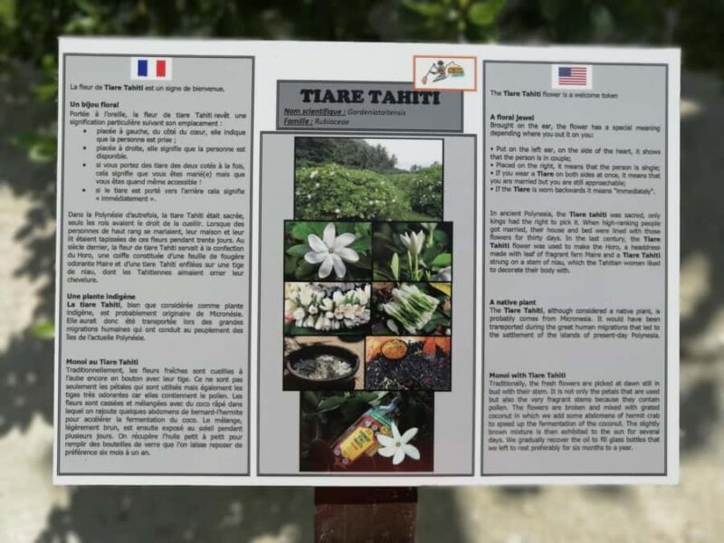 Bora Bora: Full Day in a Traditional Canoe in the Lagoon - Starting Point and Transportation  