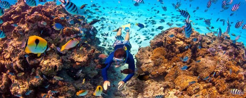 Bora Bora: Half Day Catamaran Sailing & Snorkelling - Good To Know