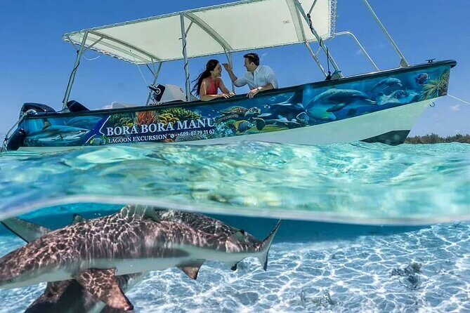 Bora Bora Half Day Snorkeling - Experience Overview and What to Expect