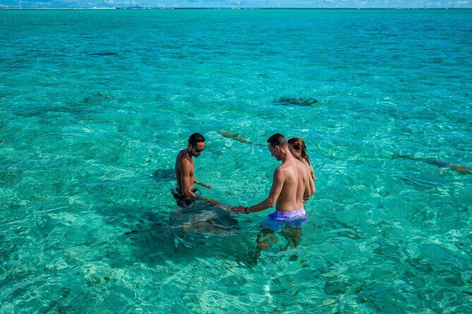 Bora Bora Half Day Snorkeling - Who Will Love This Tour?  