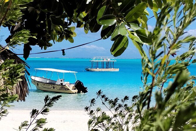 Bora Bora Half Day Snorkeling - The Sum Up: Why This Tour Is Worth It  