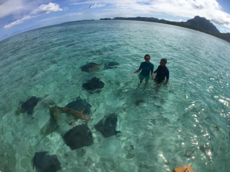 Bora Bora: Half-Day Traditional Canoe Ride in the Lagoon - Who Will Love This Tour?