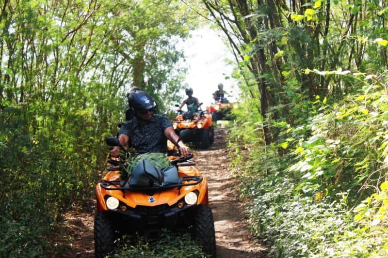 Bora Bora: Island Tour and Mountains Getaway by Quad Bike - Good To Know