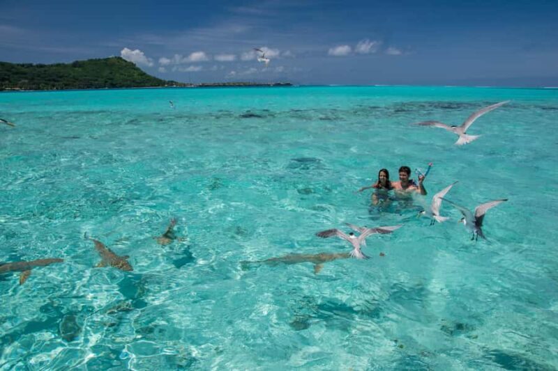 Bora Bora: Lagoon Boat Tour with Snorkeling - Who Is This Tour Best For?