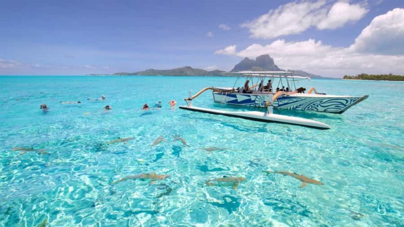 Bora Bora: Lagoon Tour and Snorkeling Experience - Good To Know