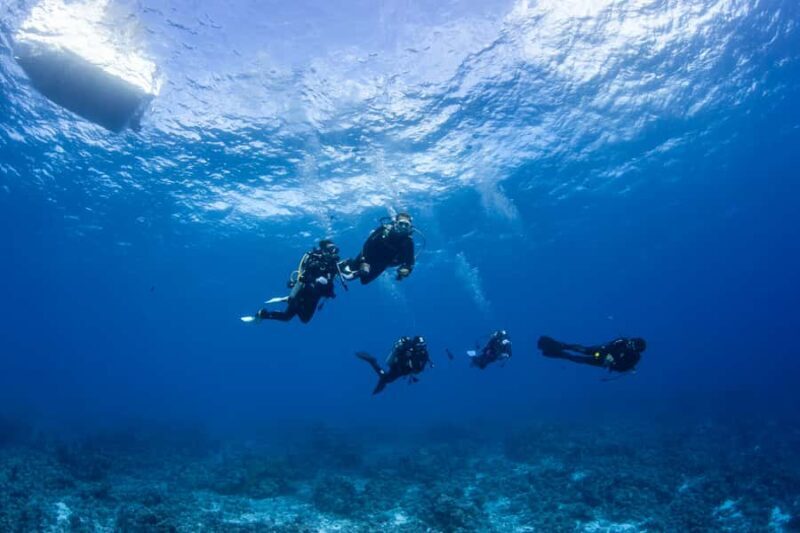 Bora Bora: Morning 2 tank dive for certified divers - The Sum Up: Is It Worth It?