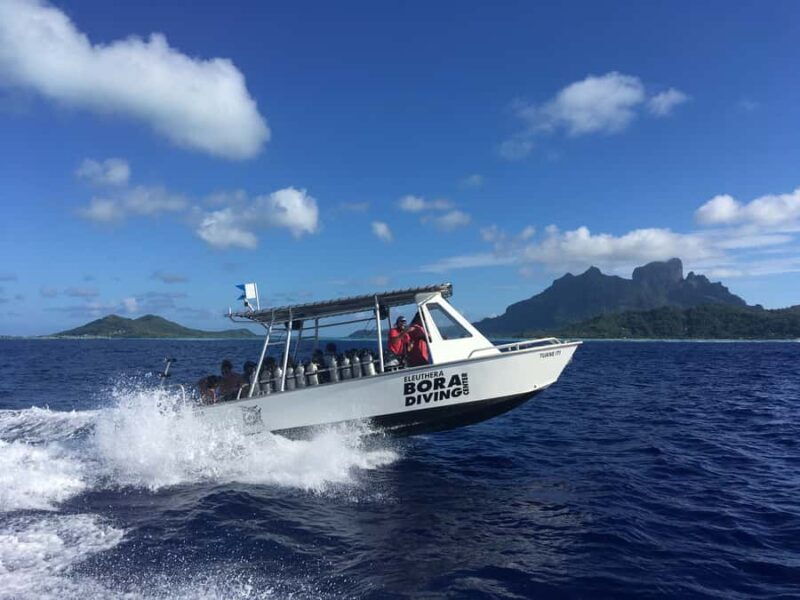 Bora Bora: Morning 2 tank dive for certified divers - FAQ